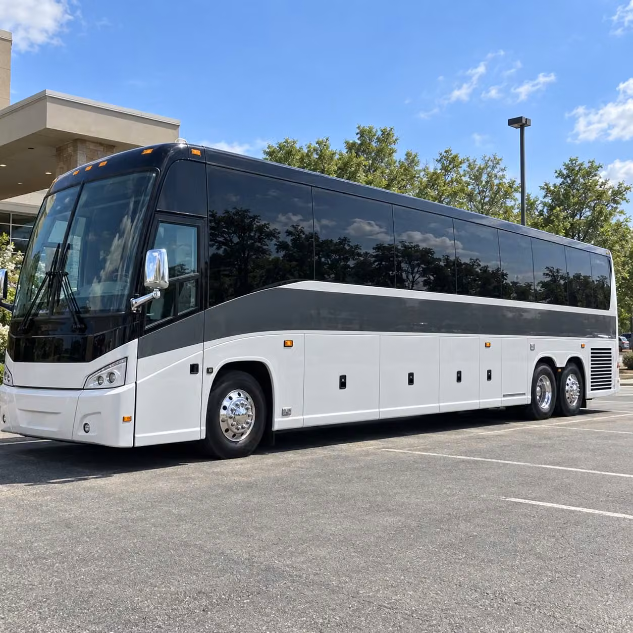 when your woodland class is headed to the sacramento zoo we ve got the right bus